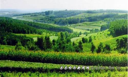 齐齐哈尔天气预报拜泉_齐齐哈尔天气预报拜泉县