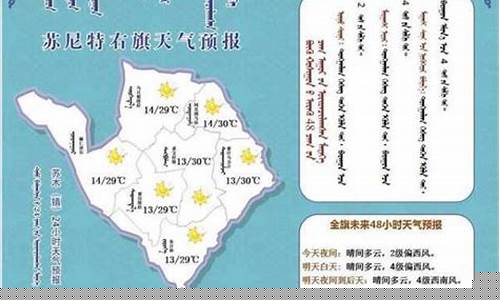 苏尼特右旗天气预报十天_内蒙苏尼特右旗天气预报一周天气