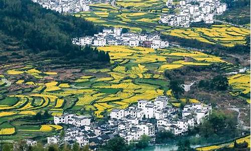 婺源旅游几月份去最好_婺源旅游几月份去最好2023