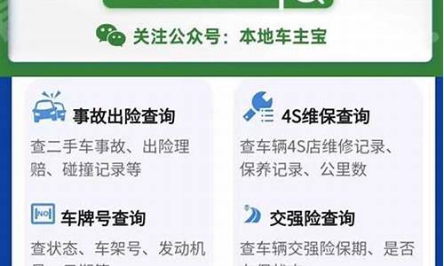 只输入车牌号查违章入口