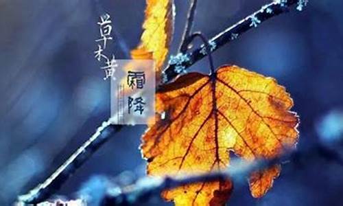 凯里市天气预报一周_凯里市天气预报一周天气预报