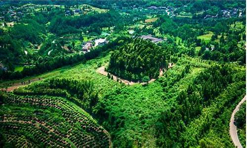 仪陇县天气预报_仪陇县天气预报15天准确率
