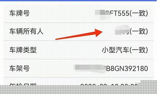 不是本人车主怎么查违章_不是本人车主怎么查违章信息